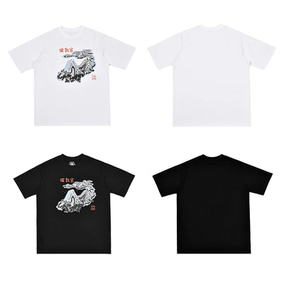 T-Shirt Palace +12 wariantow v3