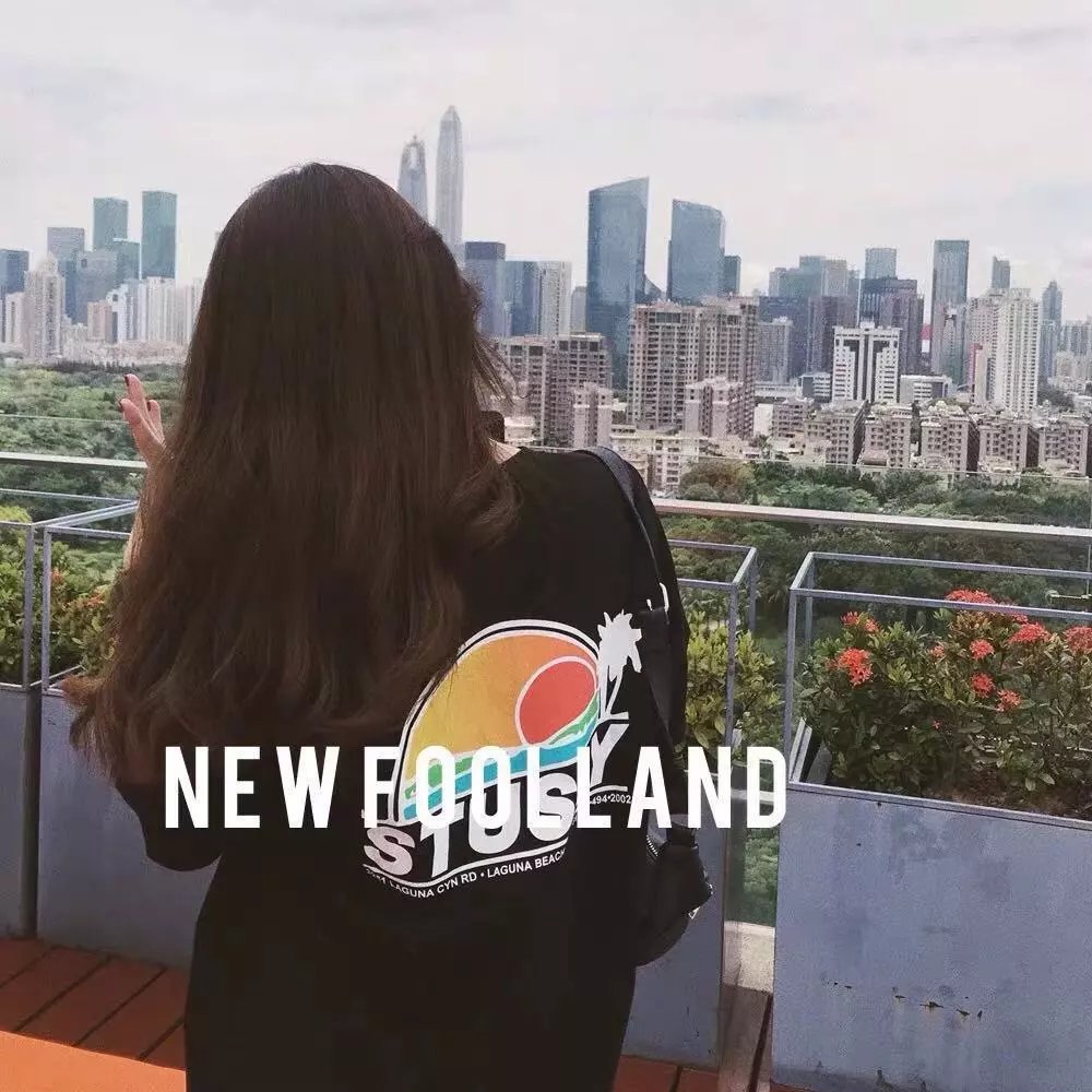 T-shirt Stussy (+30 wariantów)