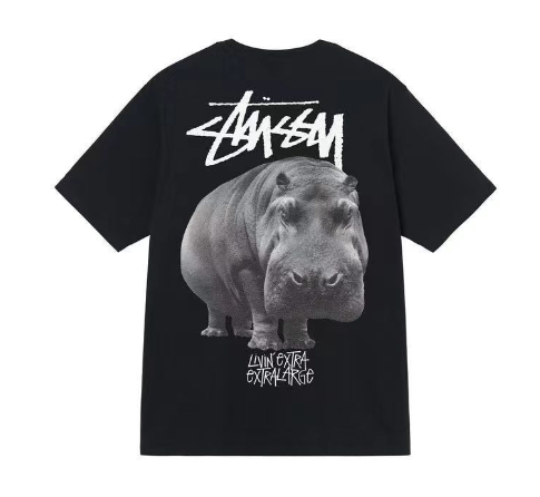 T-shirt Stussy (+30 wariantów)