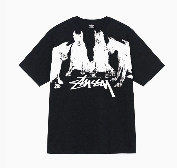 T-shirt Stussy (+30 wariantów)